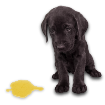 Dog Icon